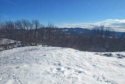 Teren de 5400 mp, în Sălătrucel - 2