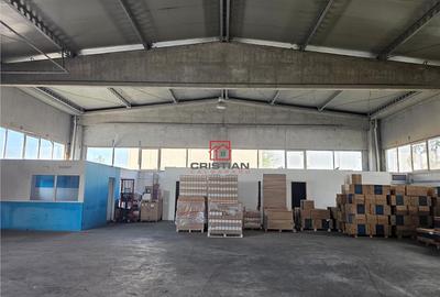 Depozit/hala/spatiu industrial Domnesti - Clinceni - Bragad Depozit/hala/spatiu industrial Domnesti - Clinceni - Bragad - 7