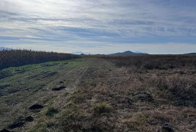 Teren de vanzare in Harman 4,4 Hectare - 2