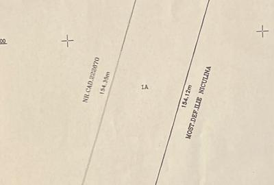 TEREN DE VANZARE PROGRESULUI-GiURGIULUI 5600 MP - 10