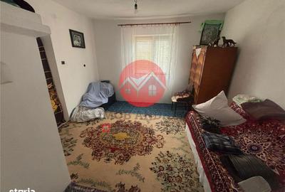 Casă cu 4 camere cu Teren 4489 Mp în Murighiol - 8