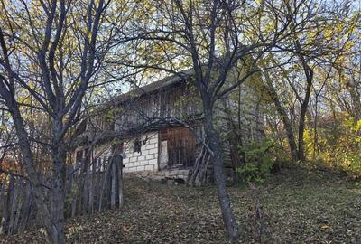 Teren de 5000 mp, în Pietroșița - 2