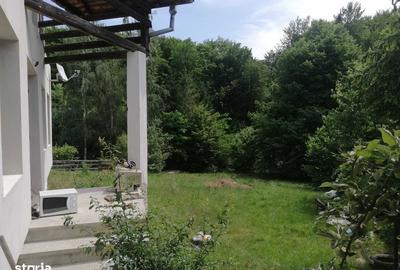 Casă cu 4 camere cu Teren 220 Mp în Șcheia - 5