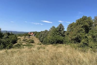 Teren de 45809 mp, în Mădrigești - 3