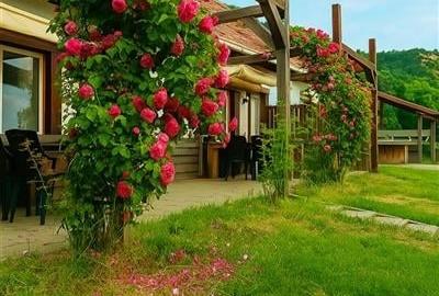 Transilvania Camping, domeniu de 14.400mp, Sanmarghita de Mures:2cladiri, aparta - 58