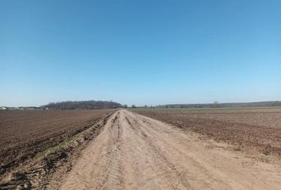 Loturi de vanzare Ordoreanu, terne de 500 m, drum servitute 8 m - 2