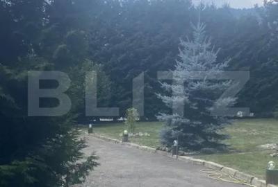 Casă cu 3 camere cu Teren 1125 Mp în Central - 4