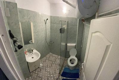 Calea Buziasului | 1 camera?-32 mp | Renovat | Mobilat/Utilat complet | Etaj 2/4 - 4