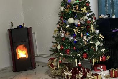 Casă cu 3 camere în Sinoie - 5