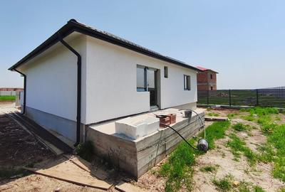 Casa Individuala pe Parter - 3 camere - 370 mp Teren - Vidra - 2