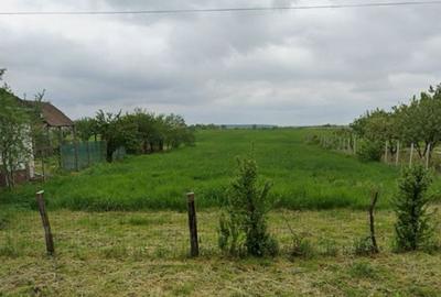 Teren Construcții intravilan de 5774 mp, în Săcădat - 2