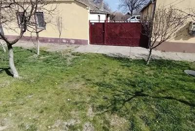 Casă cu 4 camere cu Teren 1300 Mp în Teremia Mare - 3
