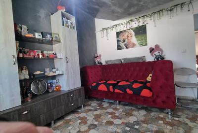 Apartament cu 3 camere semidecomandat, mobilat în Bucium - 3