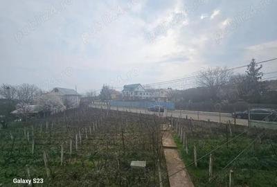 Casă cu 6 camere cu Teren 15000 Mp în Galata - 6