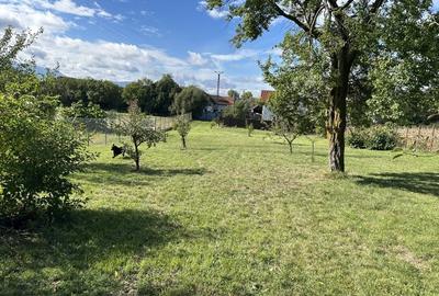 Teren Construcții intravilan de 1788 mp, în Sânpetru - 9