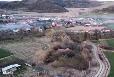 Teren de 11600 mp, în Ceuaș - 2