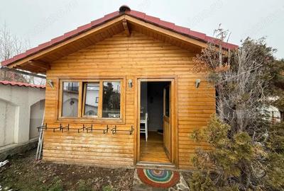 Casă cu 8 camere cu Teren 2759 Mp în Mușcel - 16