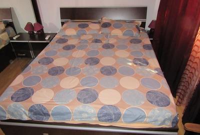 Apartament cu 2 camere semidecomandat, mobilat în Baba Novac - 14