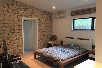 Vila cu piscina in zona  - Iancu Nicolae - Lidl ( teren 1500 Mp) - 8