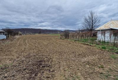 Teren intravilan in Sanduleni/Bacau de vanzare - 6