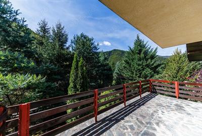 Casă cu 12 camere cu Teren 5028 Mp în Poiana - 6