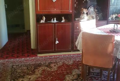 Apartament 2 camere de vanzare in Vulcan, Hunedoara - 4