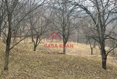 Casă cu Teren 1358 Mp în Gura Beliei - 7