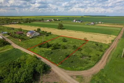 FRUMUSANI - POSTAVARI, TEREN 1500 MP, FRONT 30 M ! FRUMUSANI - POSTAVARI, TEREN 1500 MP, FRONT 30 M ! - 3