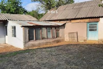 Vand Gospodarie CU Carte Funciara 3000MP - 3