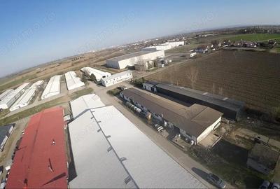 Spațiu comercial, de 630 mp, în Vetiș - 5