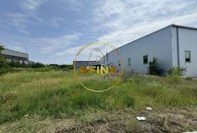 Hala si birouri zona Mogosoaia sos Odai - 15