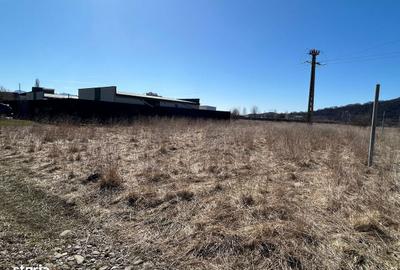 Spațiu comercial, în Hărman - 8