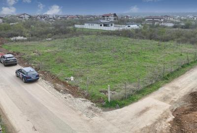 Mogosoaia | Teren intravilan | 2 parcele a cate 933 mp - 8
