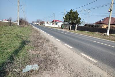 Teren de 5000 mp, în Frumușani - 10