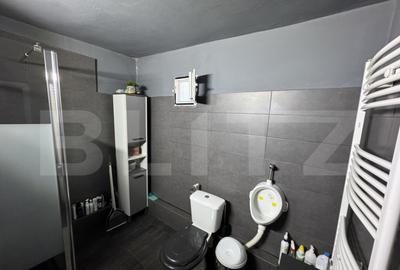 Casa parter, 58.75 mp, cartier Brestei - 11