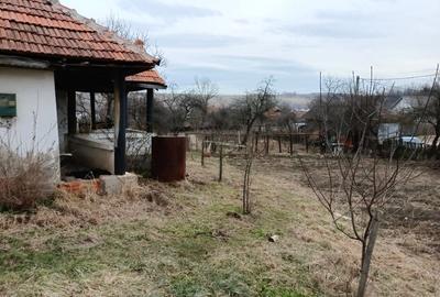 Casă cu 3 camere cu Teren 2394 Mp în Fărcășești - 4