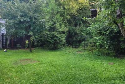 Casă cu 2 camere în Bran - 6