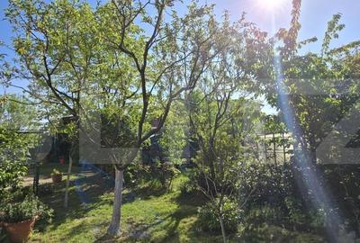 Casă individuală cu 4 camere cu Teren 902 Mp în Nord-Est - 2