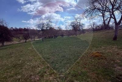 Teren Construcții de 6377 mp, în Hărnicești - 2