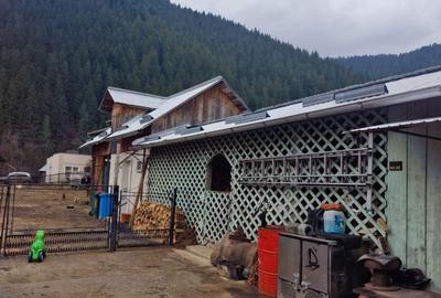 Casă cu 4 camere în Central - 4