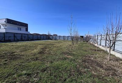 Teren Construcții intravilan de 1000 mp, în Balotești - 4