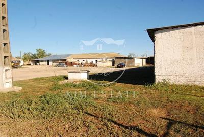 De vanzare ferma N.Balcescu - 4