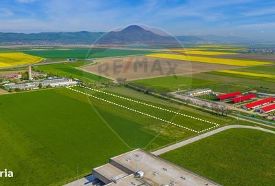 Spațiu comercial, în Central - 4