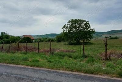 Teren de 11780 mp, în Merei - 4