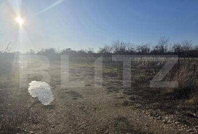 Teren 2.500 mp, front 23 ml, trifazic Coste?ti din Deal - 3