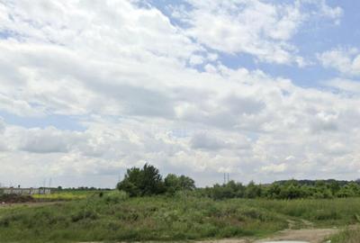 Teren intravilan 25 000 mp - Titu Nou - 1