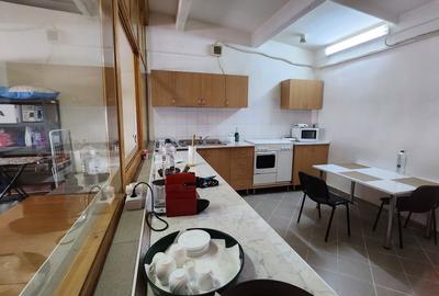 Spatiu industrial productie/ depozitare, Timiș - 22