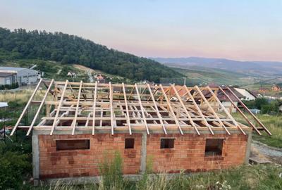 Casa la rosu 100mp,4 camere,750 mp teren extravilan,zona Dea - 3