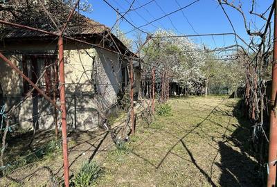 Casă cu 4 camere în Central - 4