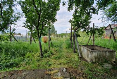 Casă cu 4 camere cu Teren 2038 Mp în Cujmir - 15